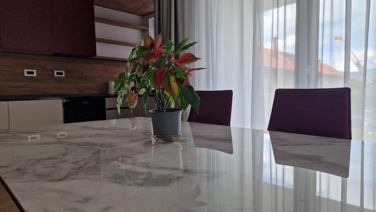 Valentini Apartments Cluj-Napoca Esterno foto